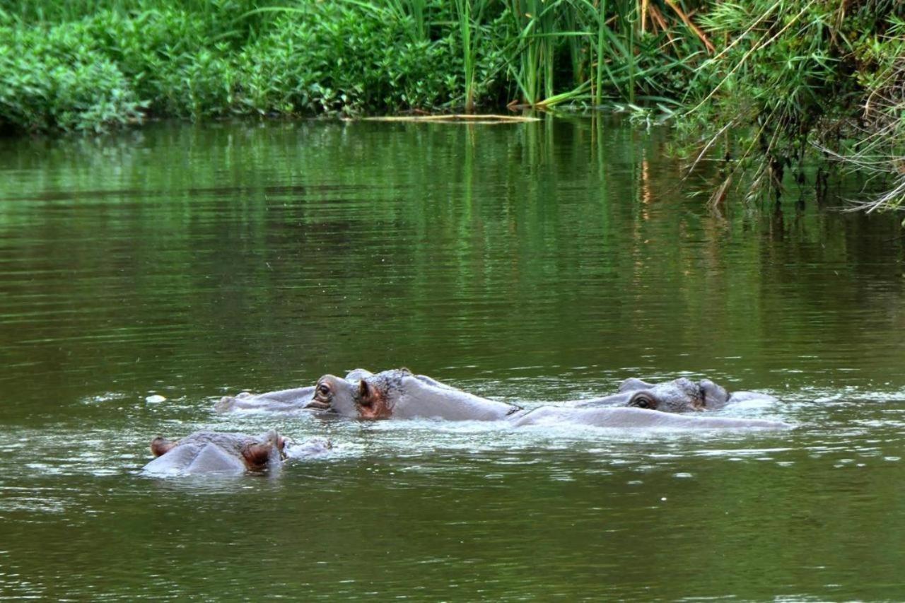 Legend Safaris - Kruger Park 257a *