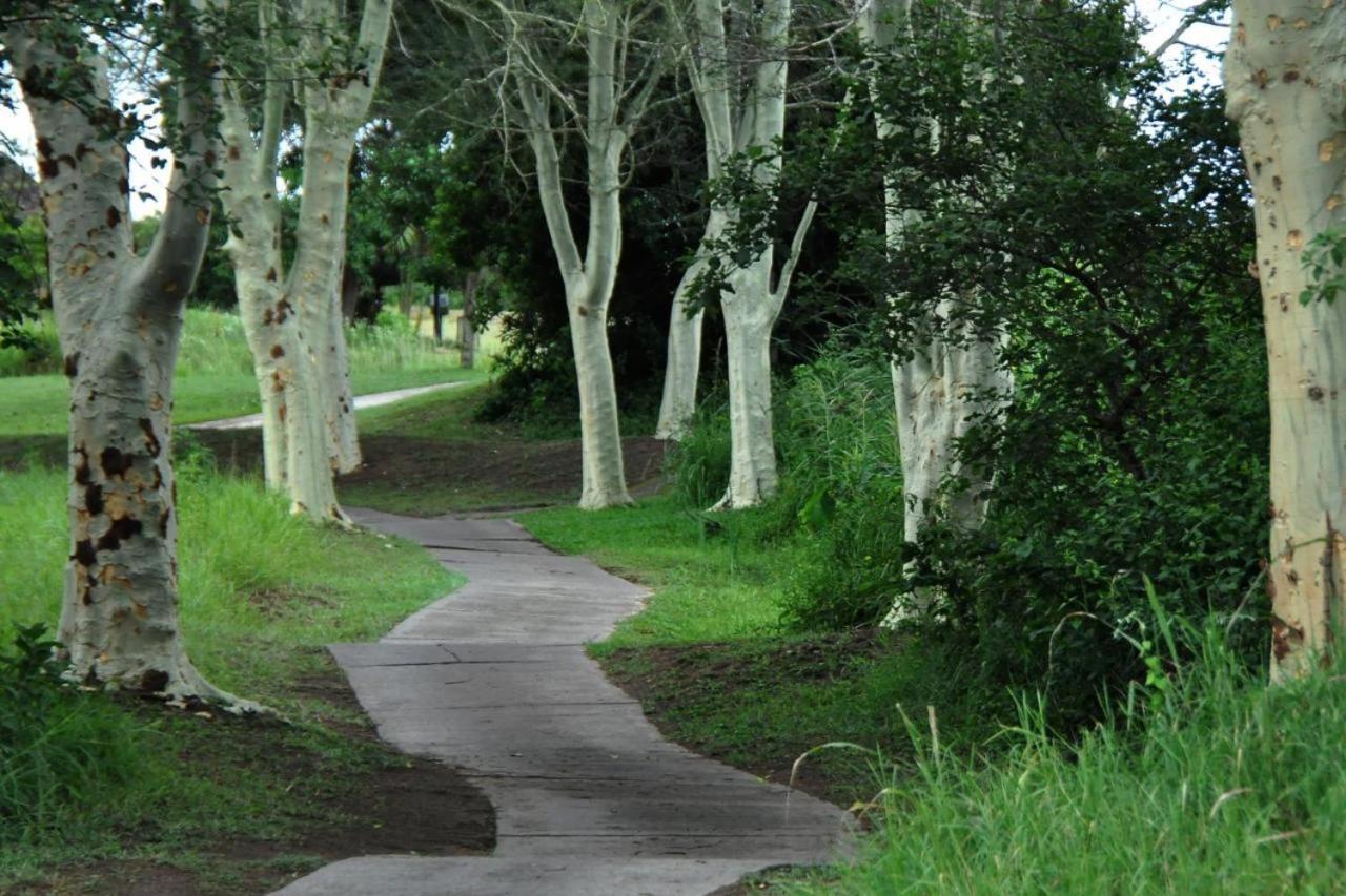 Legend Safaris - Kruger Park 257a * Hazyview